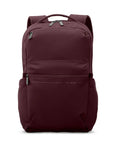Samsonite Companion Bags Laptop Backpack