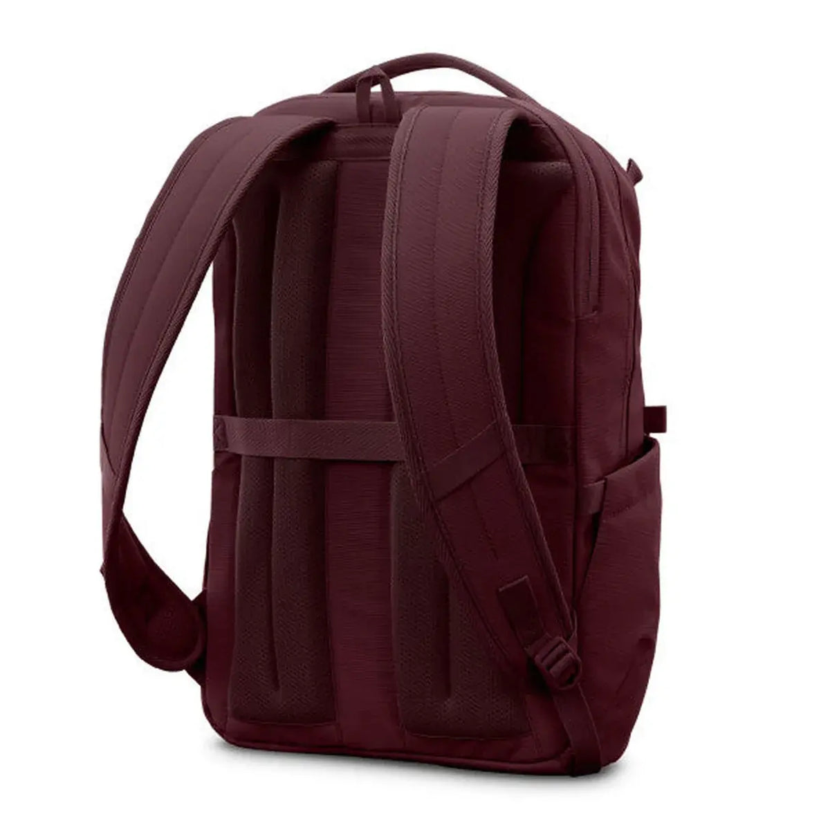 Samsonite Companion Bags Laptop Backpack