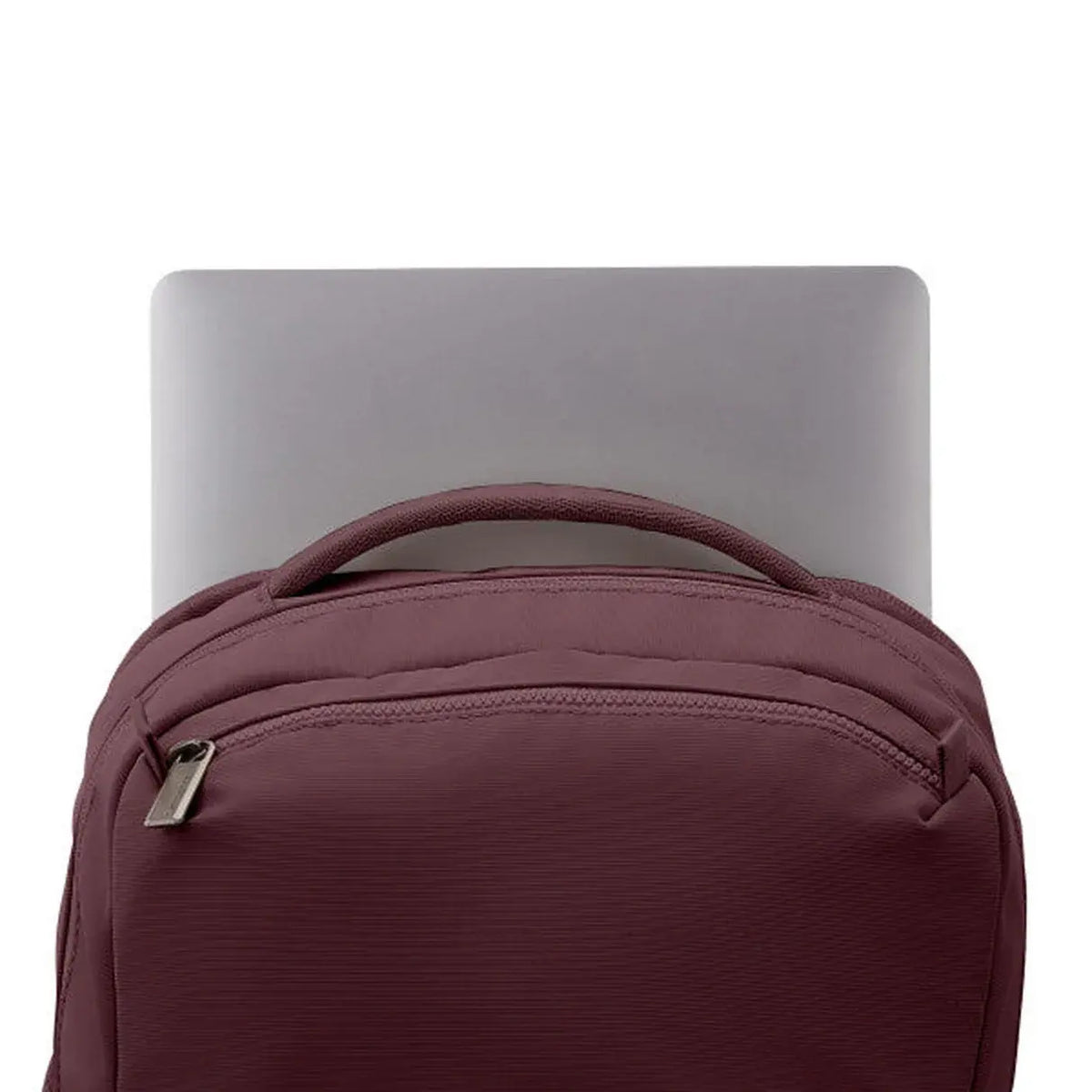 Samsonite Companion Bags Laptop Backpack