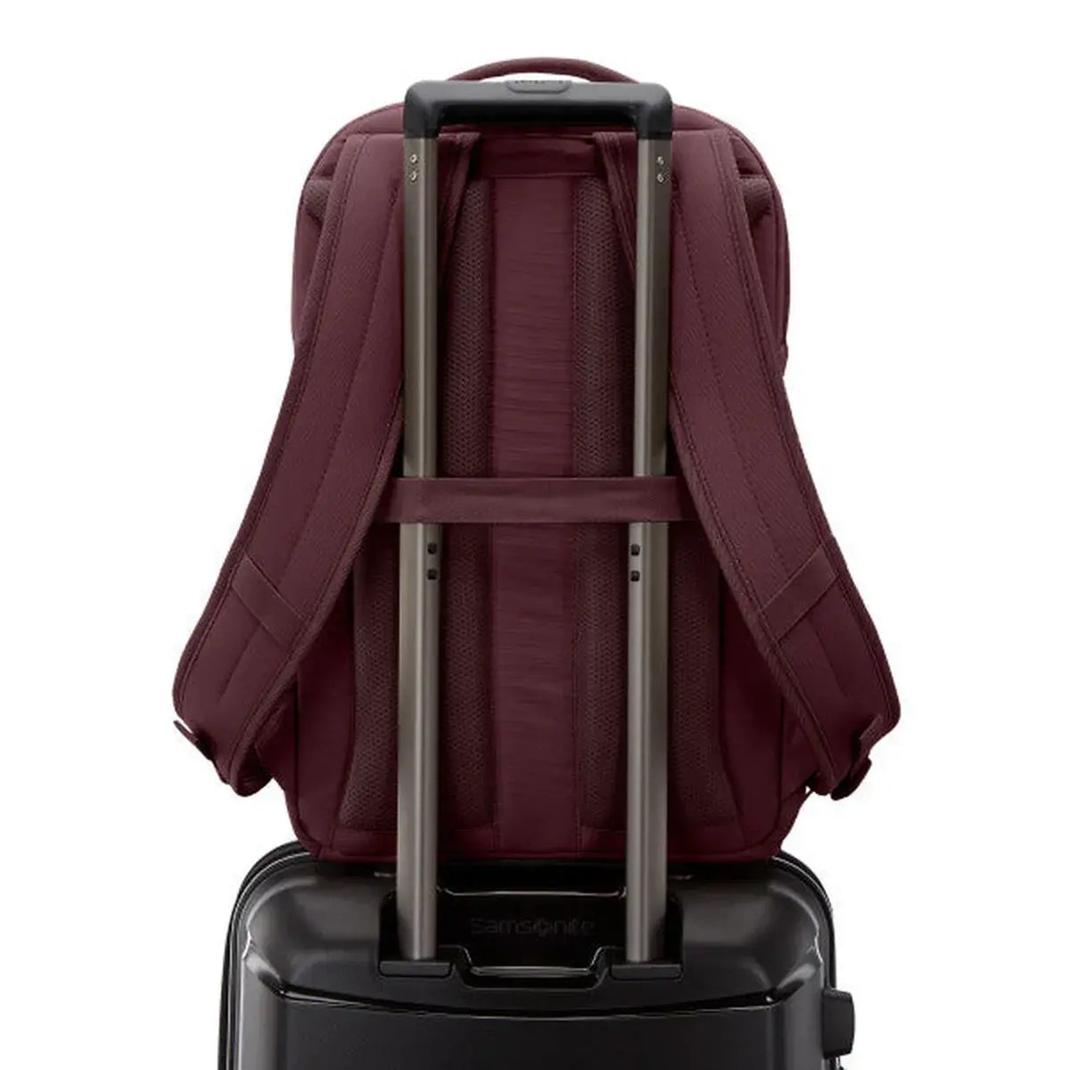 Samsonite Companion Bags Laptop Backpack