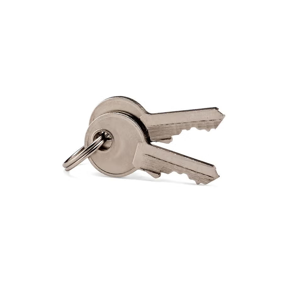 Samsonite Travel Sentry TSA Brass Key Locks (2-Pack)